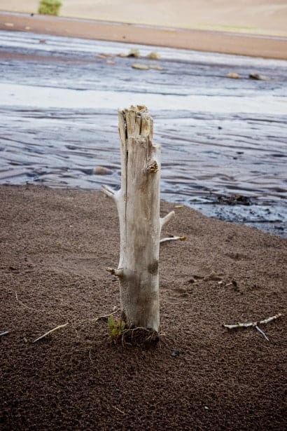 Stick in the Mud