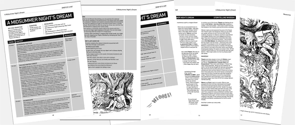 MSND Lesson Plan