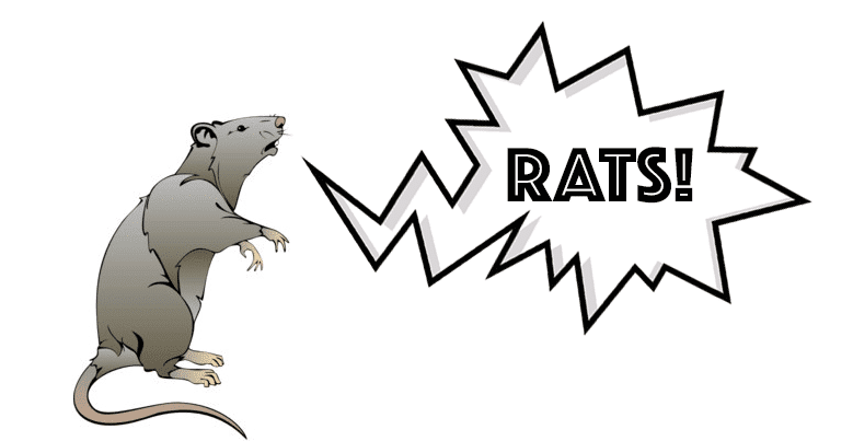 rats