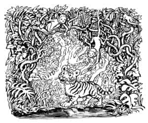 Illustration of The Tifer Child by John Shelley