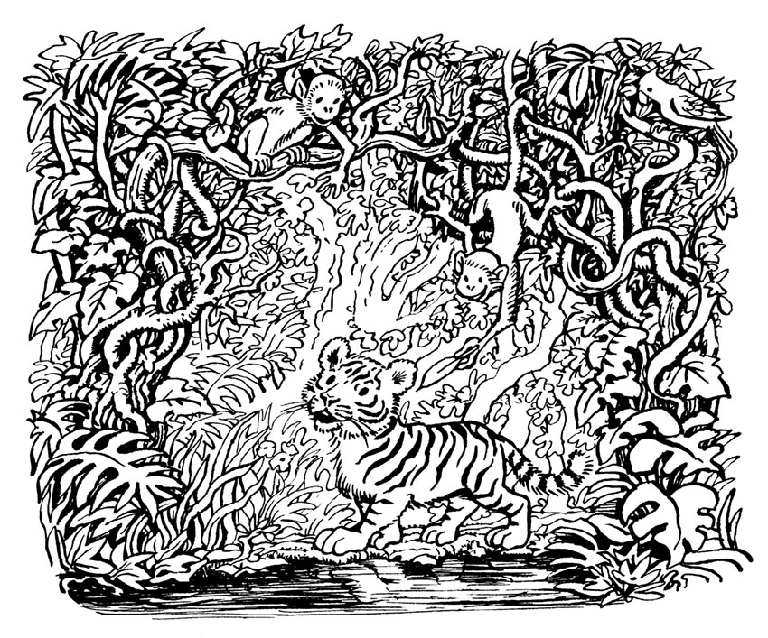 Illustration of The Tiger Child by John Shelley